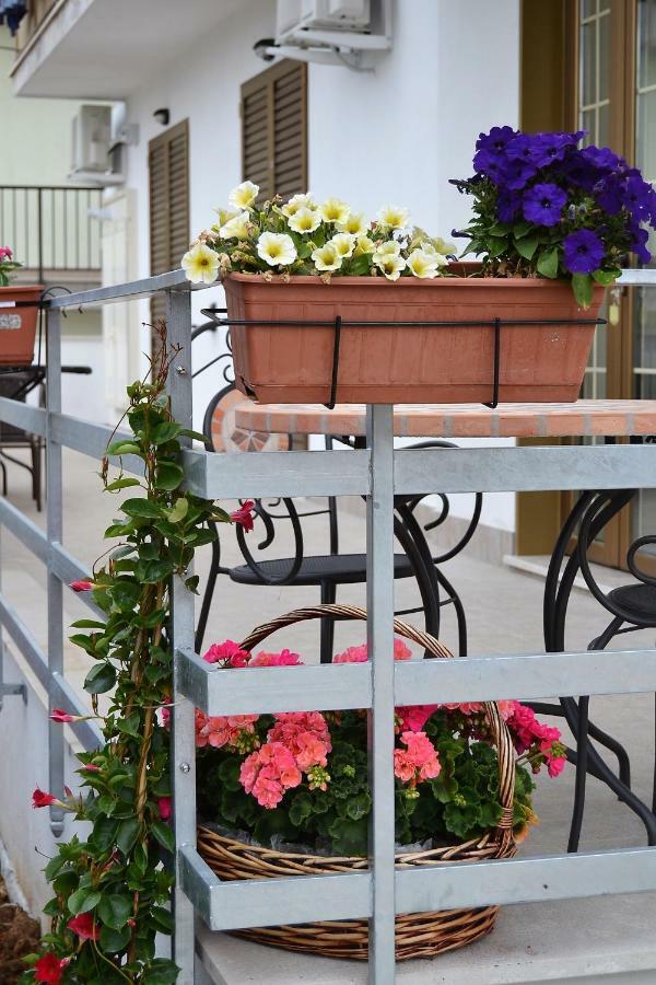 Guesthouse Holiday Formia Beach מראה חיצוני תמונה